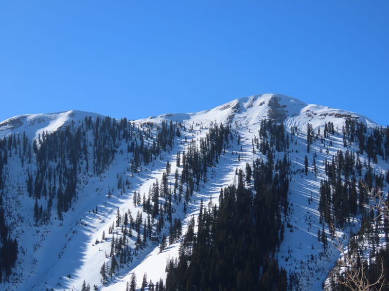 Observation photo 6