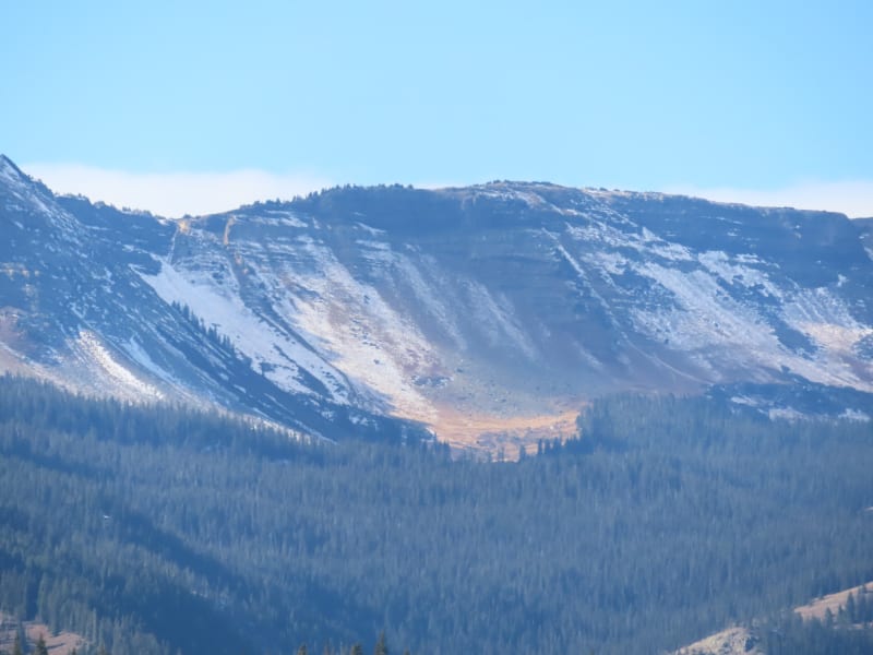 Observation photo 13