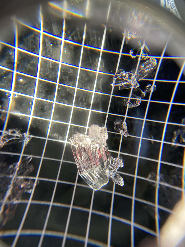 Observation photo 1