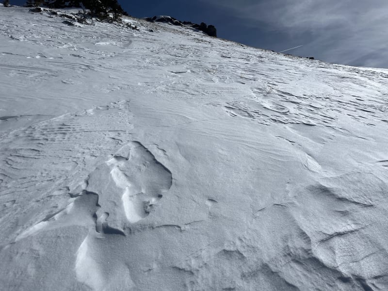 Observation photo 3