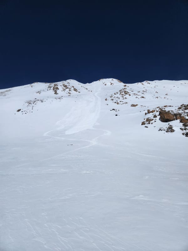 Observation photo 1