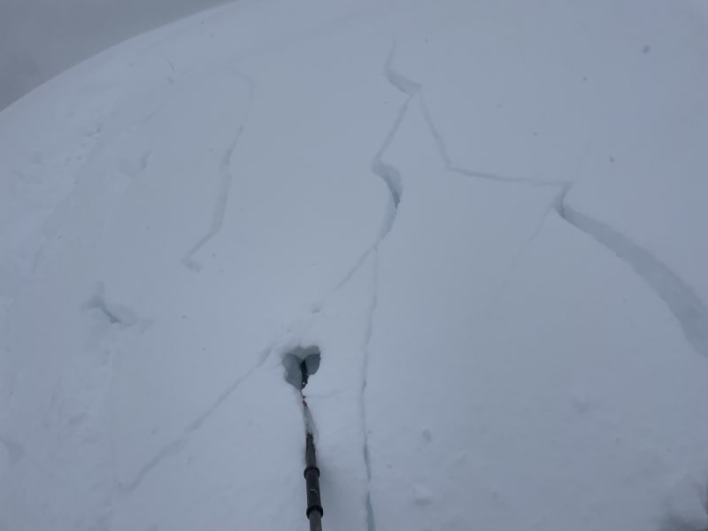 Observation photo 2