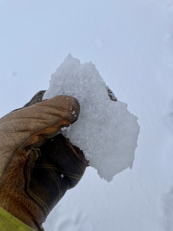 Observation photo 4