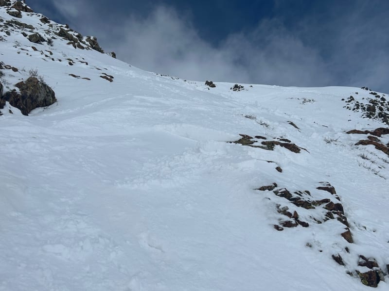 Observation photo 4