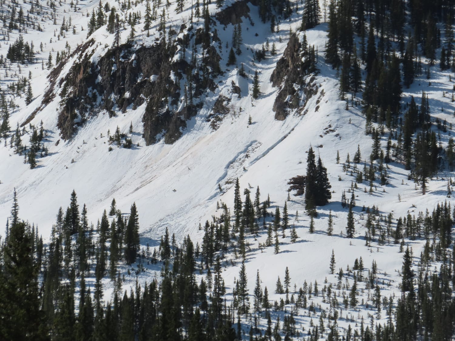Observation photo