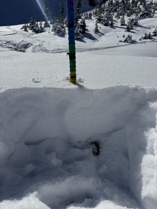 Observation photo 2
