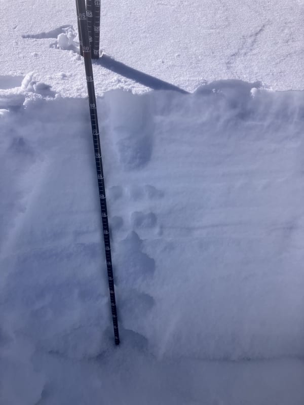 Observation photo 2
