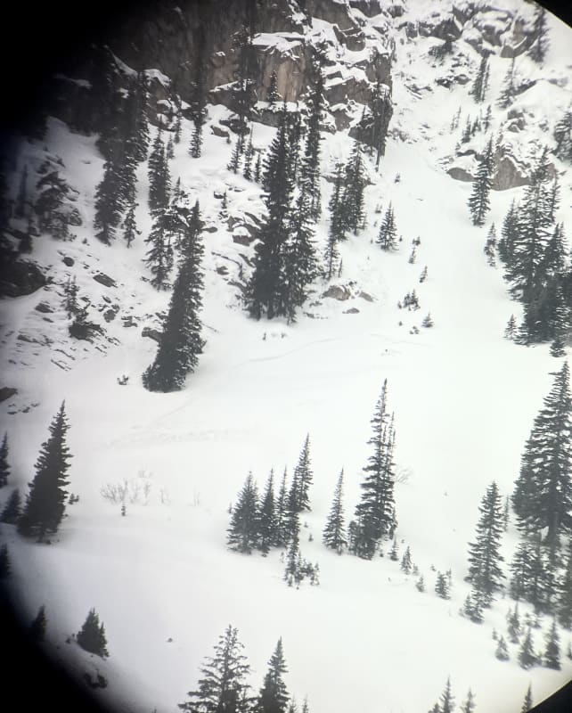 Observation photo 1