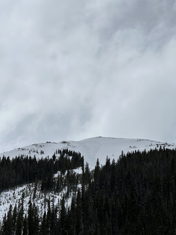 Observation photo 2