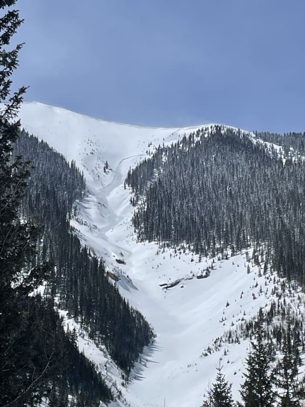 Observation photo 1