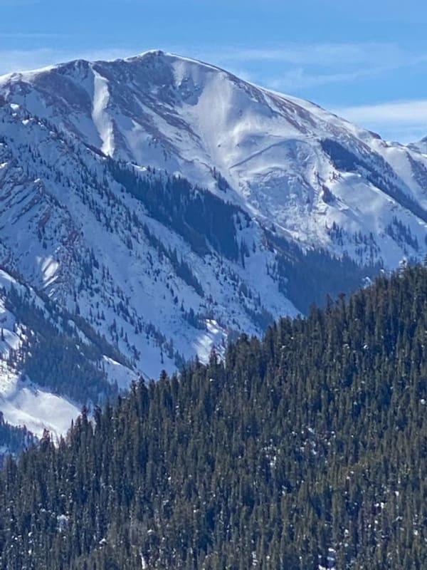 Observation photo 1