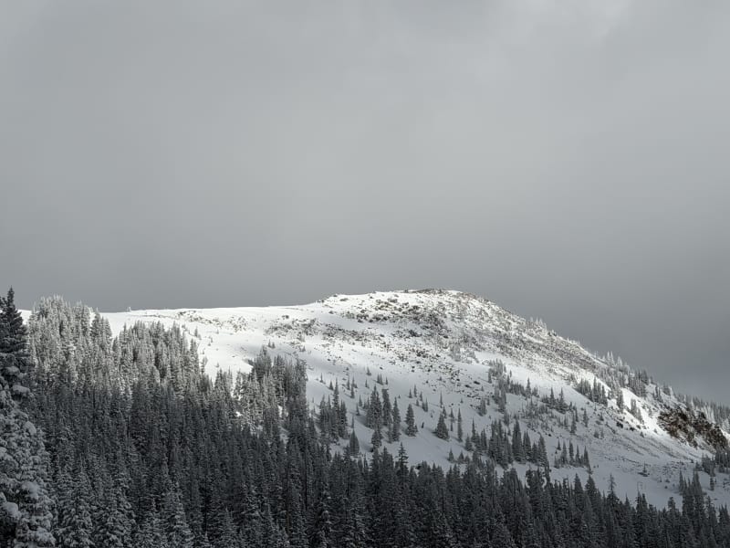 Observation photo 4
