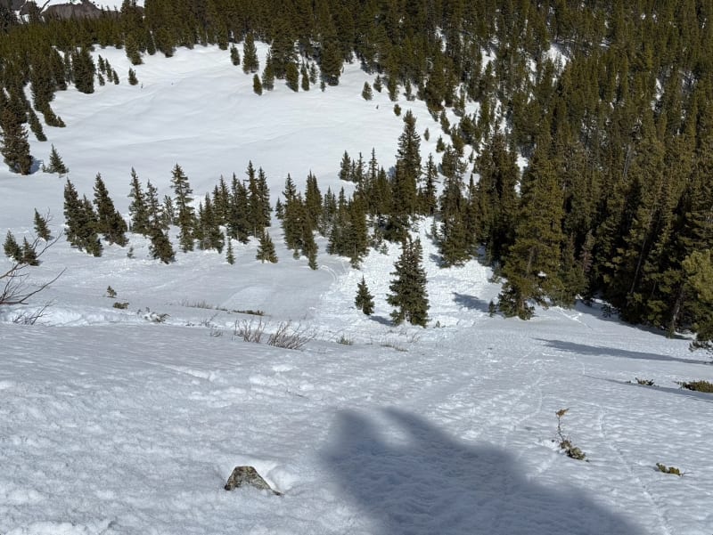 Observation photo 1