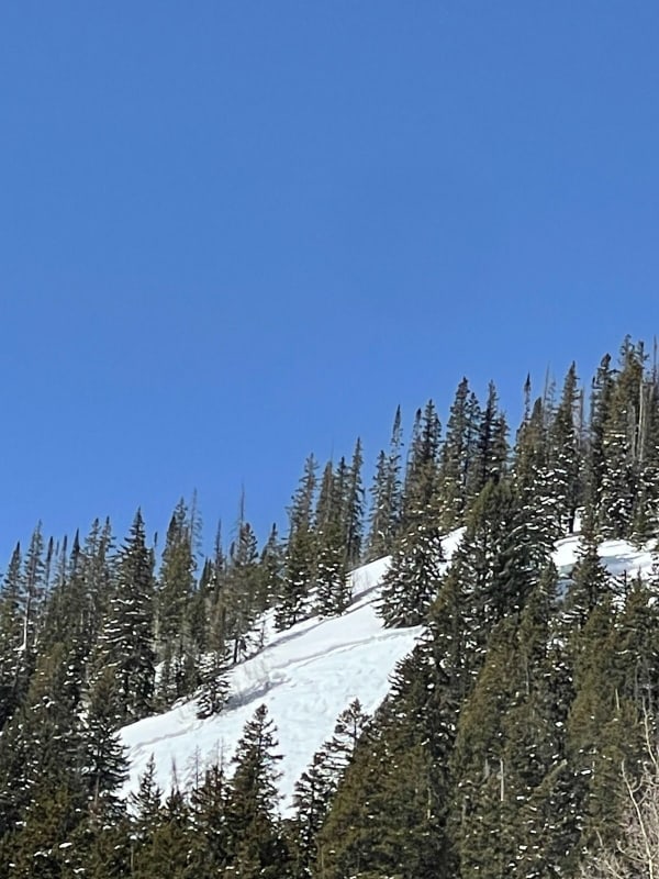 Observation photo 1
