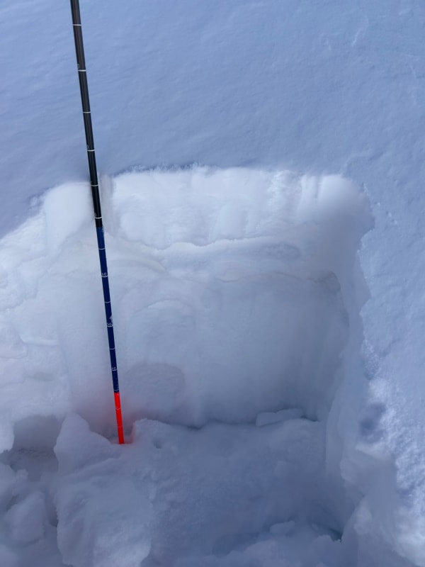 Observation photo 3