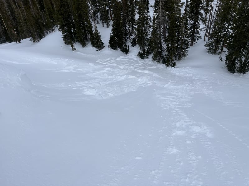 Observation photo 2