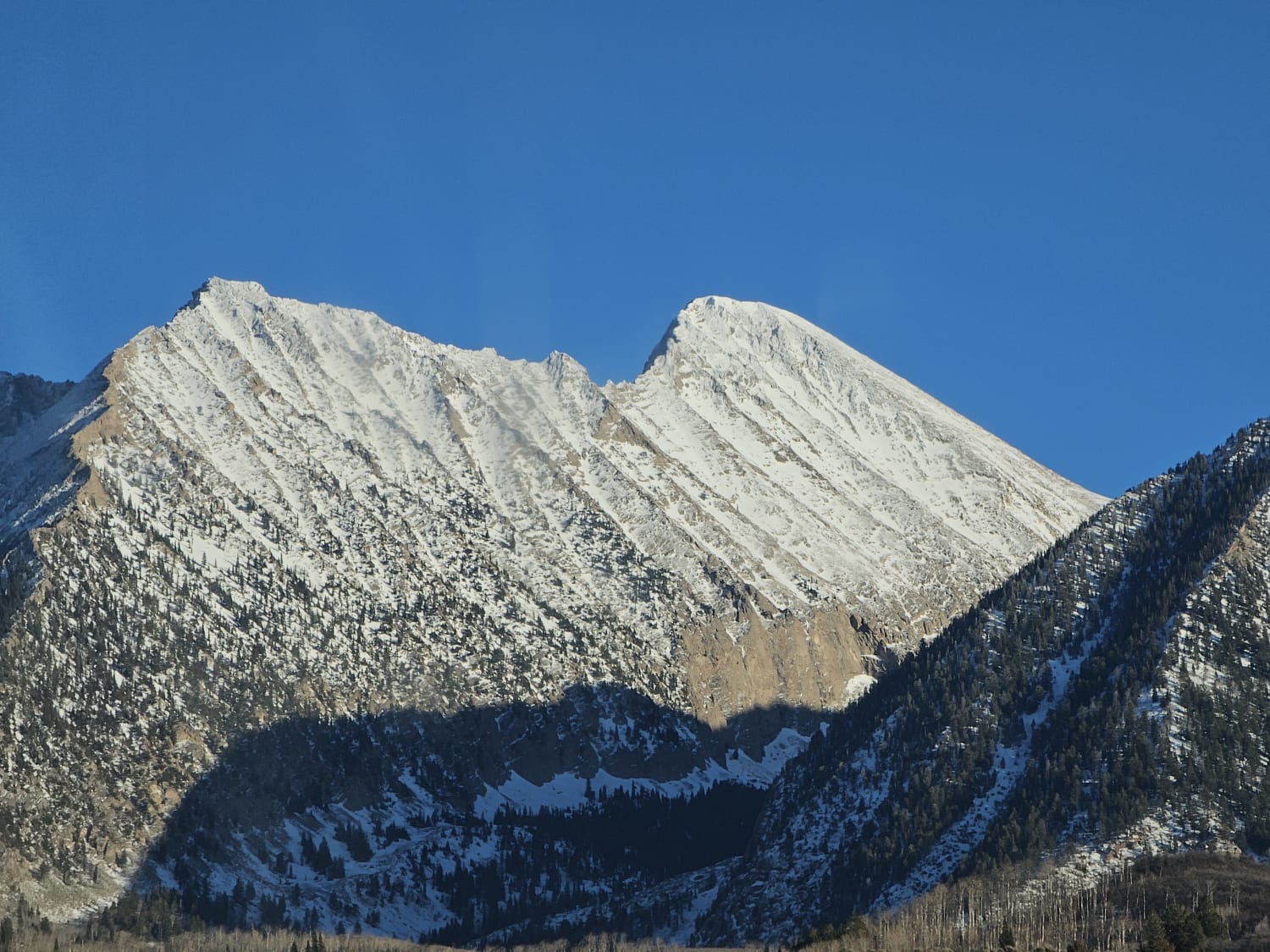 Observation photo