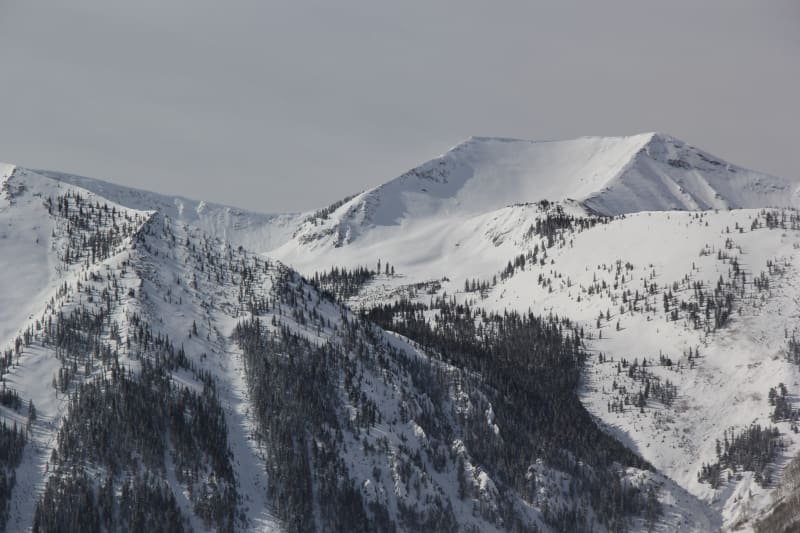 Observation photo 1