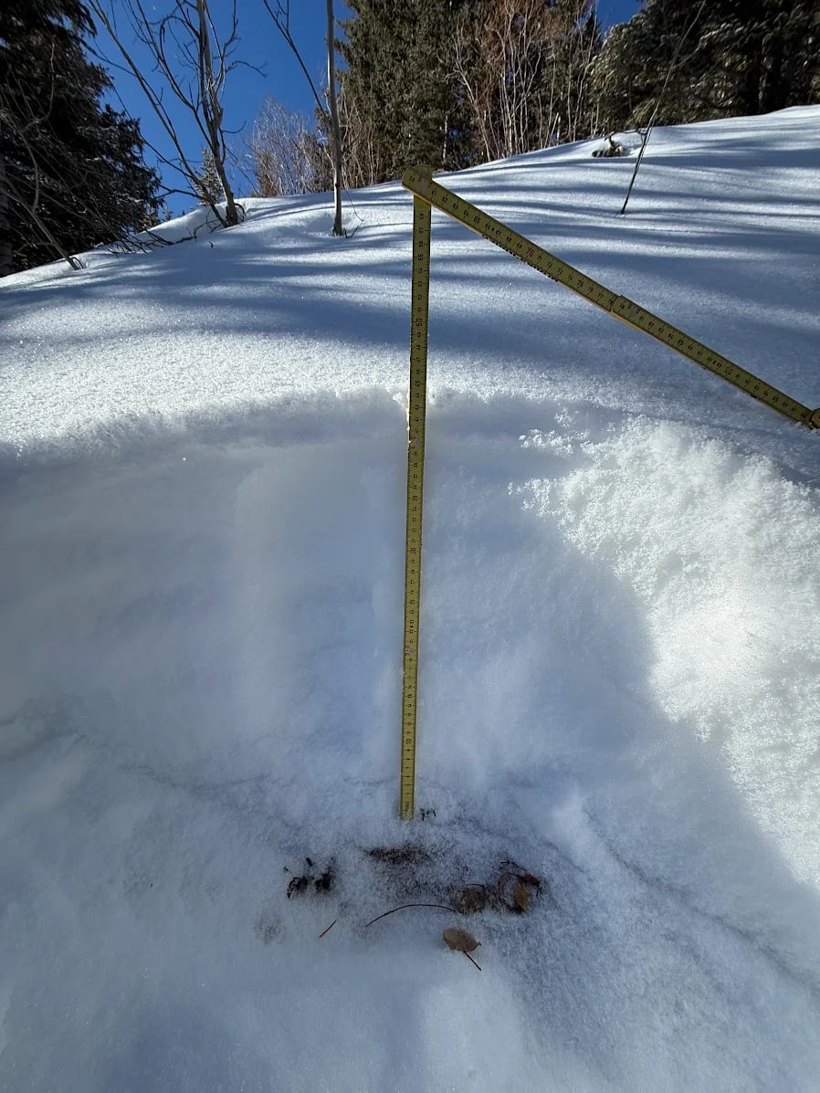 Observation photo