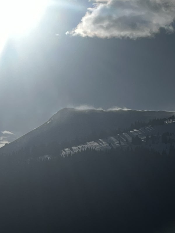 Observation photo 1