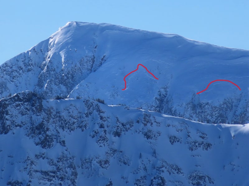 Observation photo 4