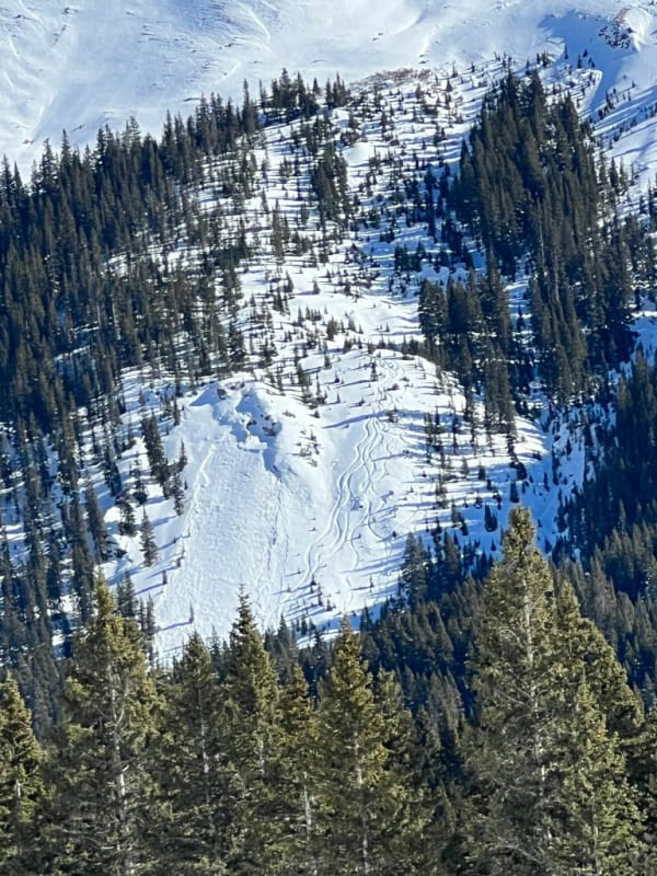 Observation photo 1