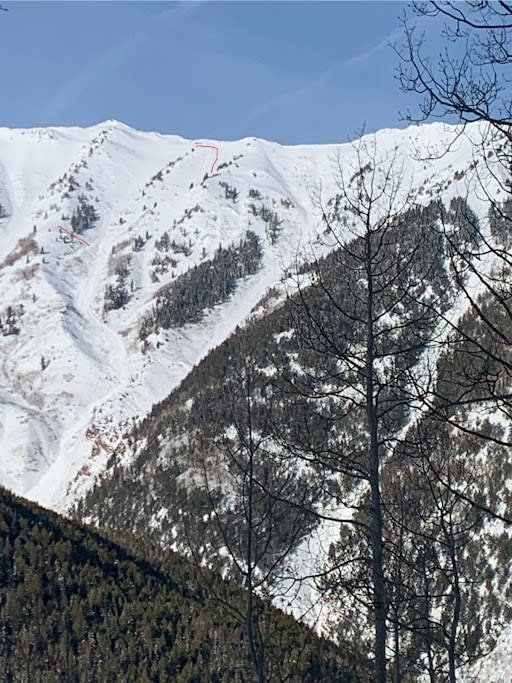 Observation photo 3