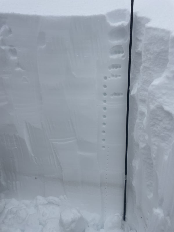 Observation photo 1