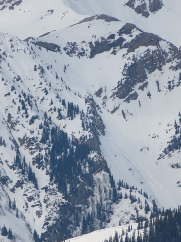 Observation photo 7