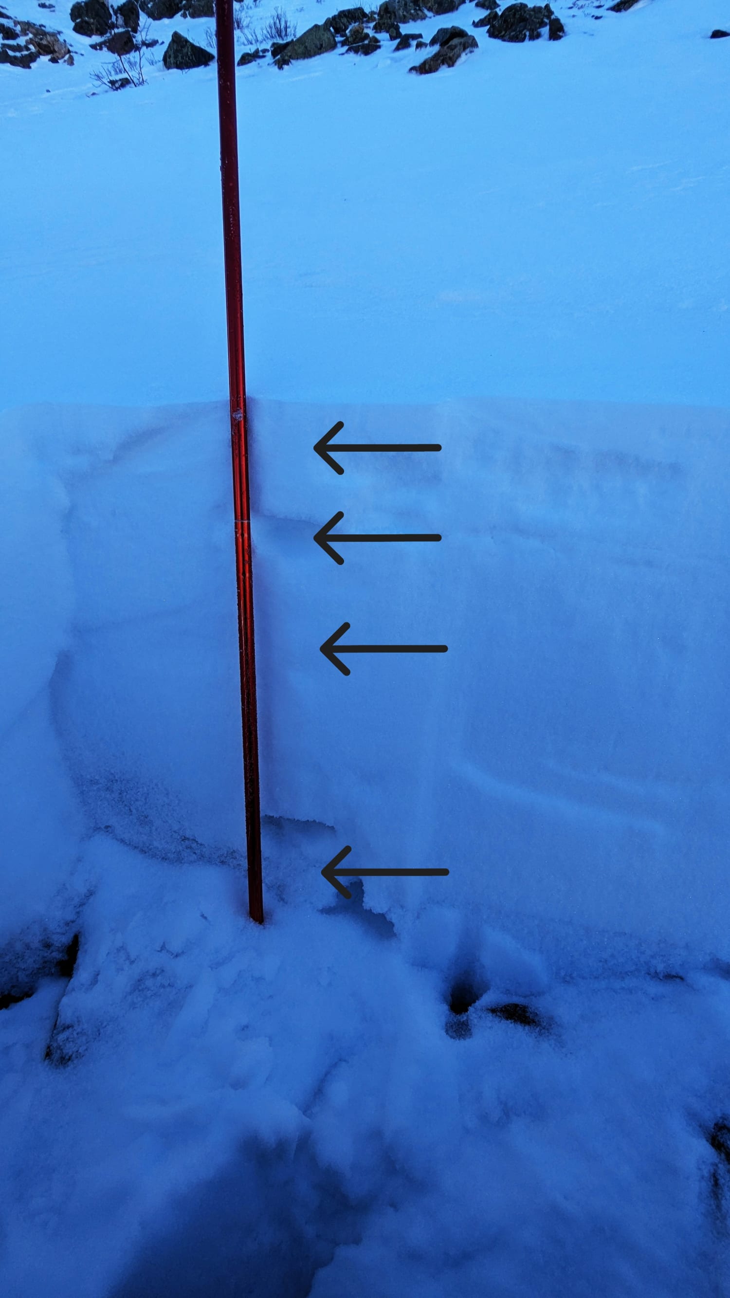 Observation photo