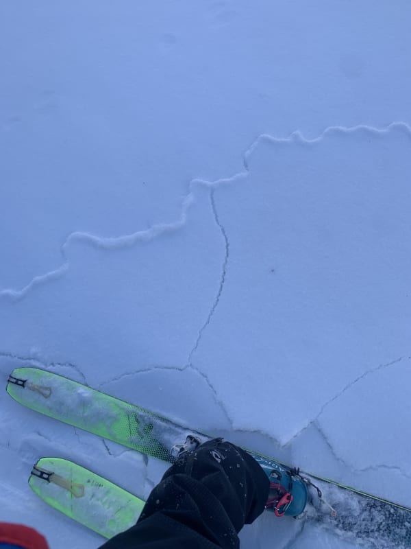 Observation photo 5