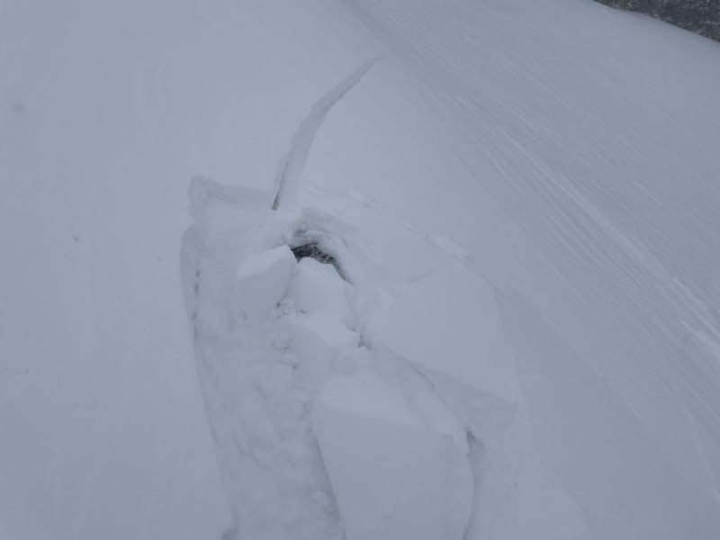 Observation photo 2