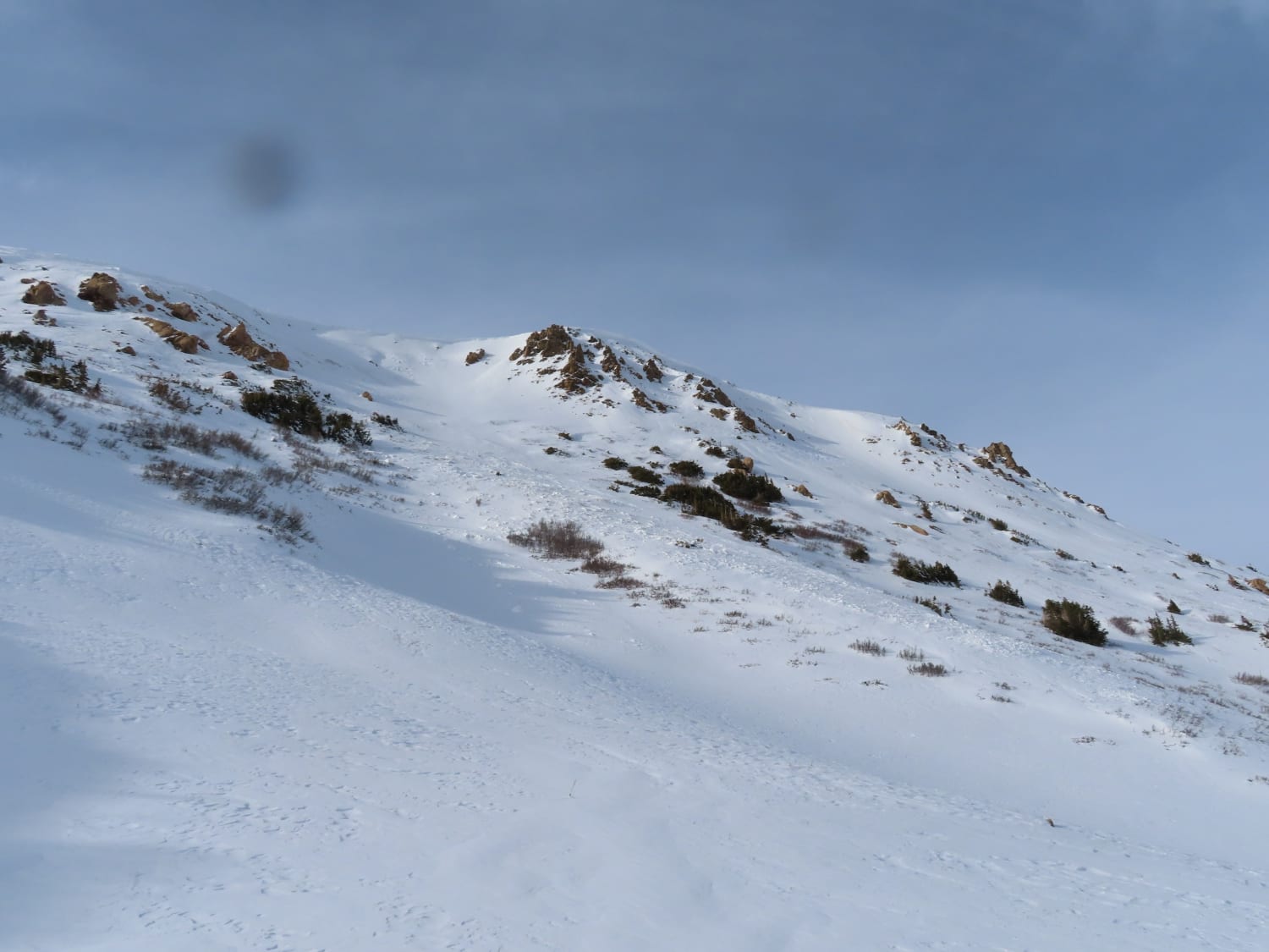 Observation photo