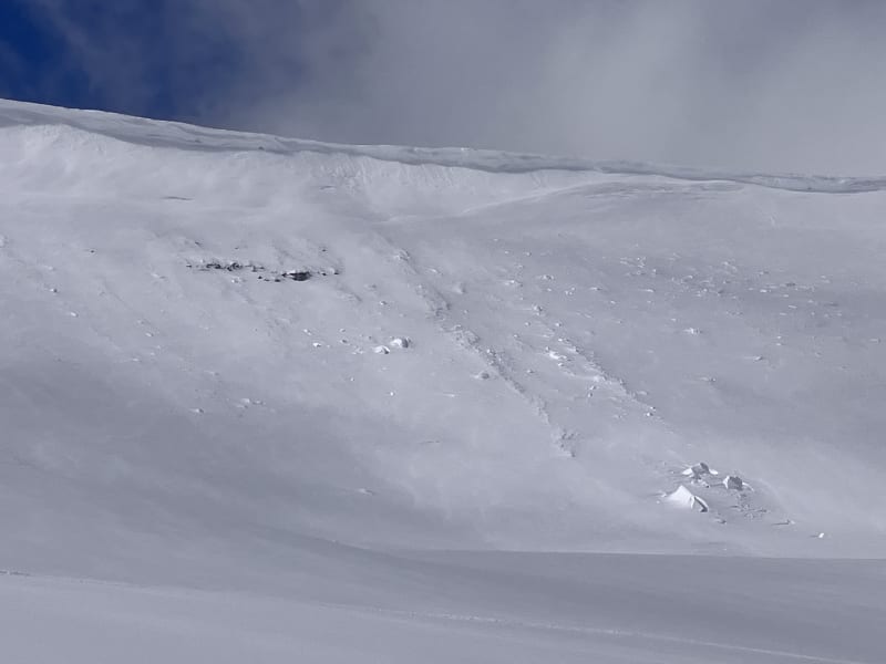 Observation photo 1