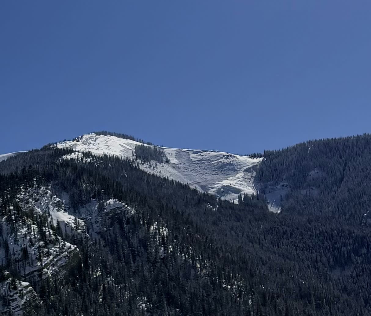 Observation photo