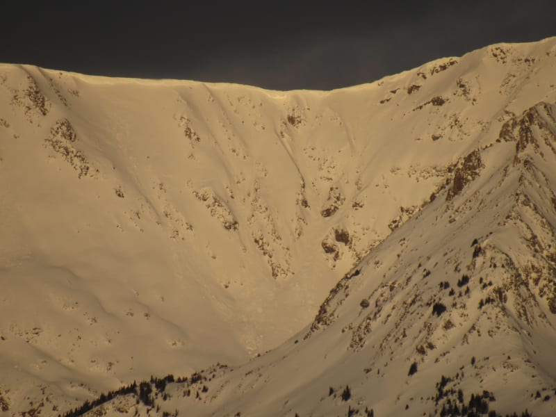 Observation photo 4