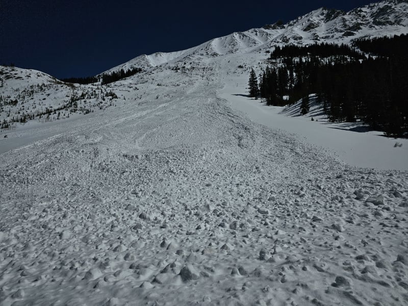 Observation photo 3