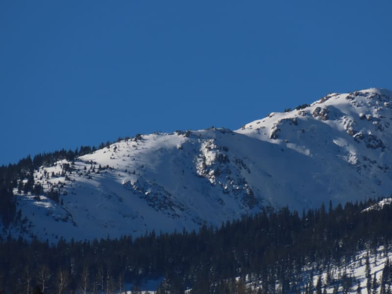 Observation photo 1