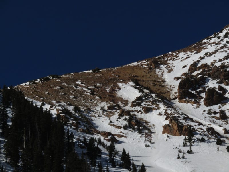 Observation photo 1