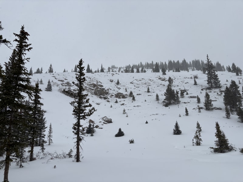 Observation photo 2