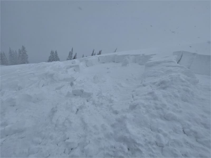 Observation photo 2