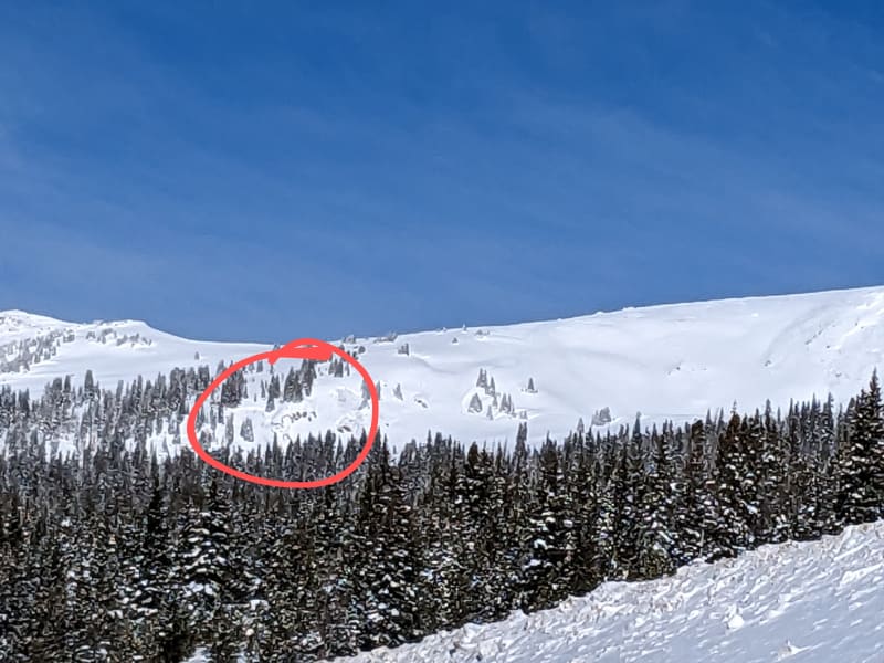 Observation photo 1