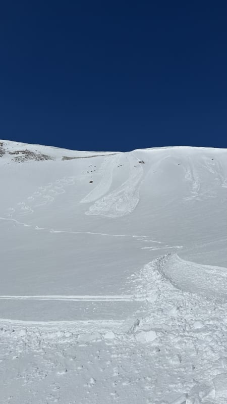 Observation photo 3