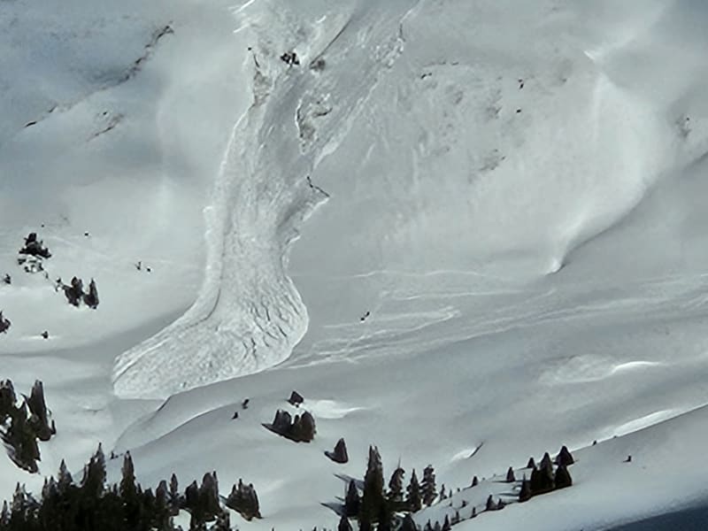 Observation photo 6