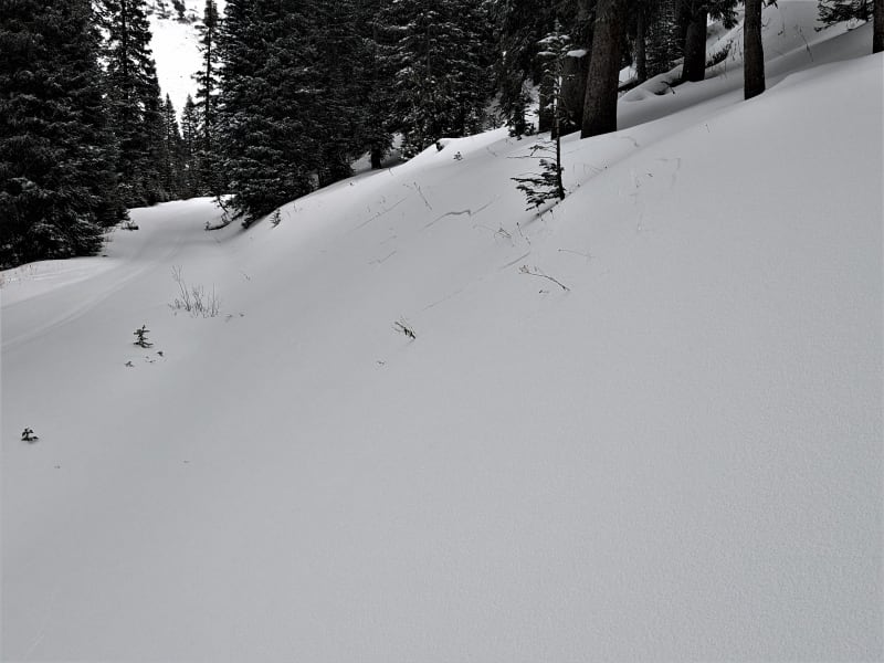 Observation photo 1