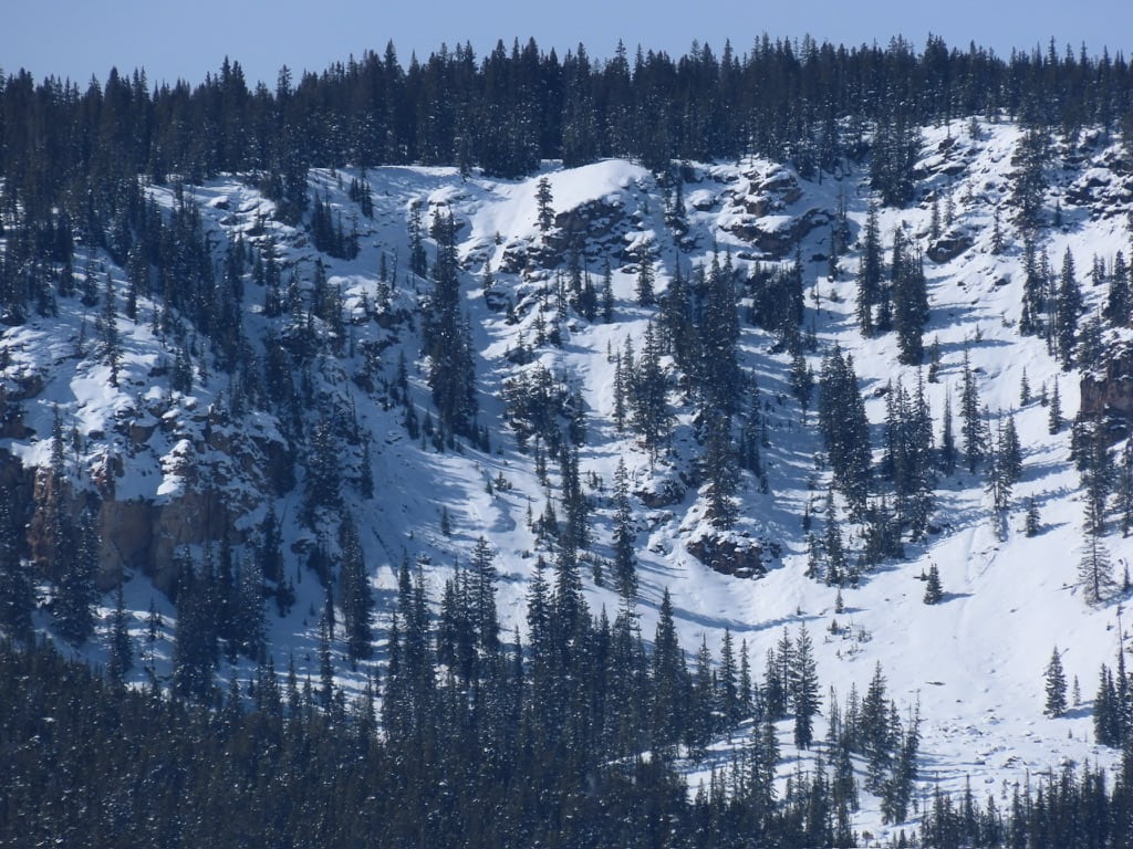 Observation photo