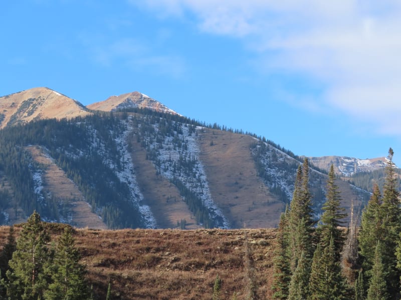 Observation photo 10