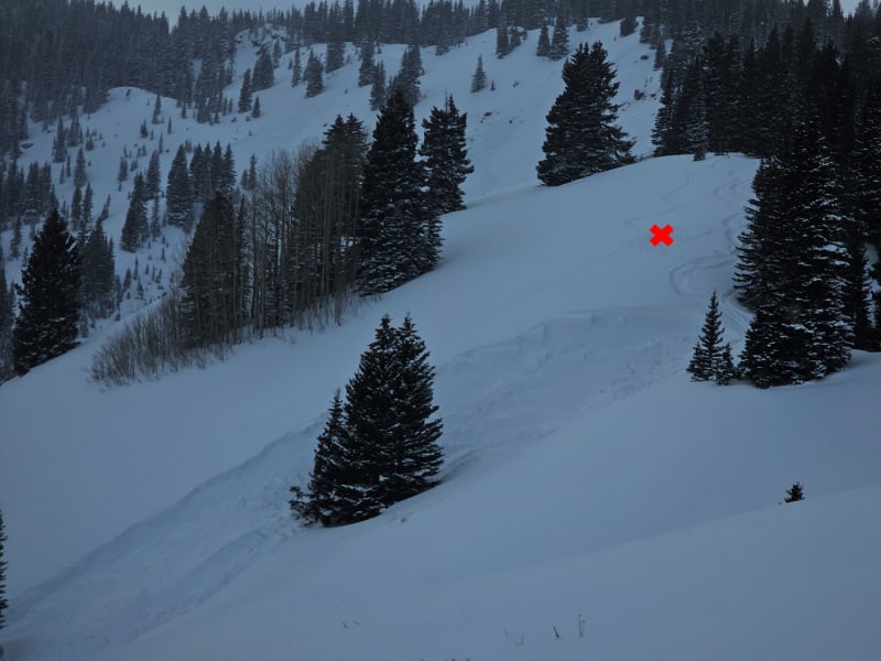 Observation photo 2