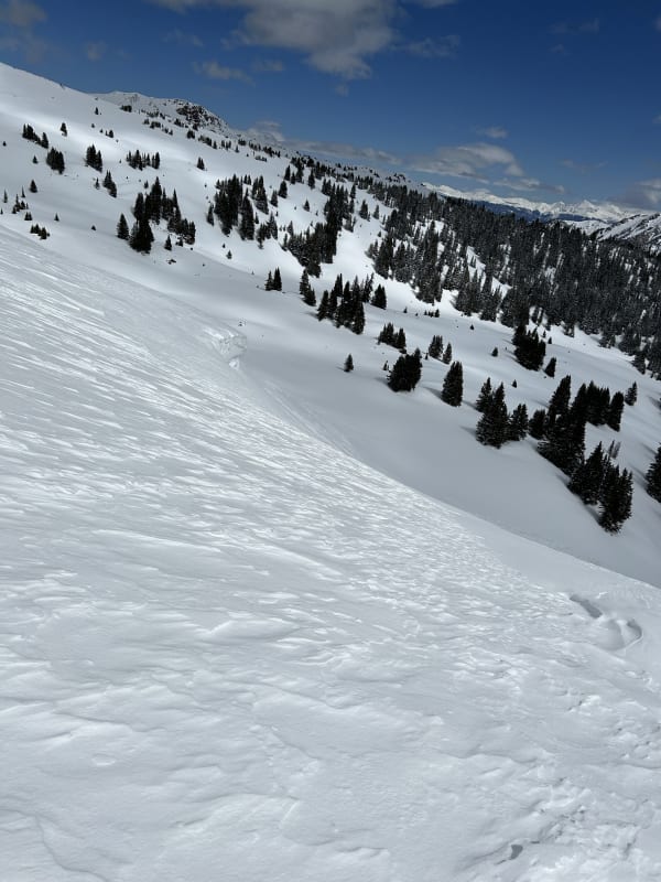 Observation photo 1