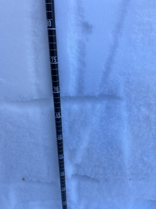 Observation photo 3